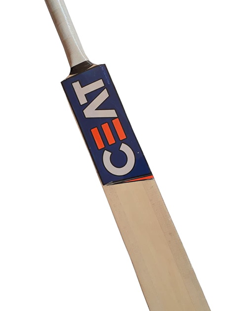 Bat